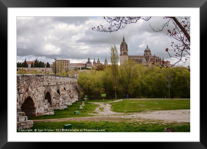 View on Cathedral Framed Mounted Print by Igor Krylov