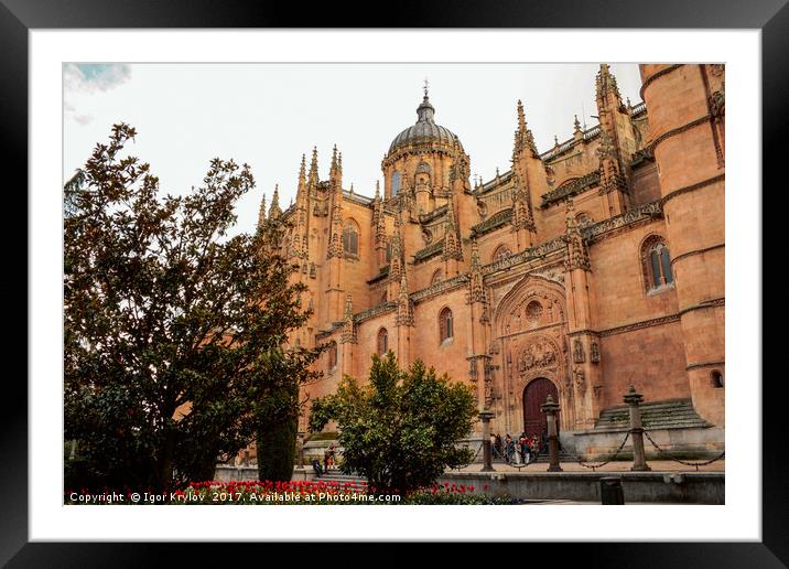 View of Cathedral of Salamanca Framed Mounted Print by Igor Krylov