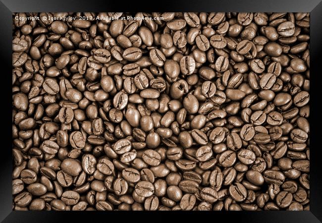 Coffee beans background Framed Print by Igor Krylov