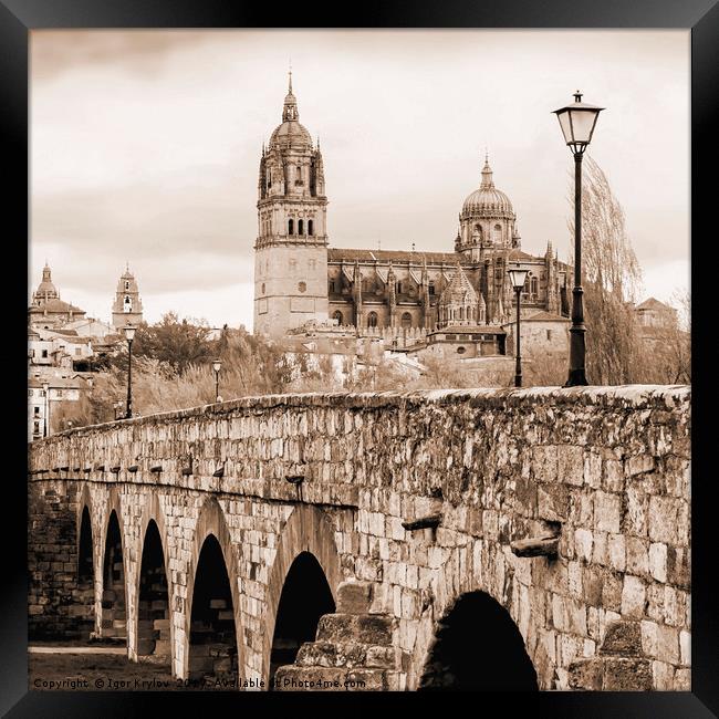 Cathedral and roman bridge in Salamanca, Spain Framed Print by Igor Krylov