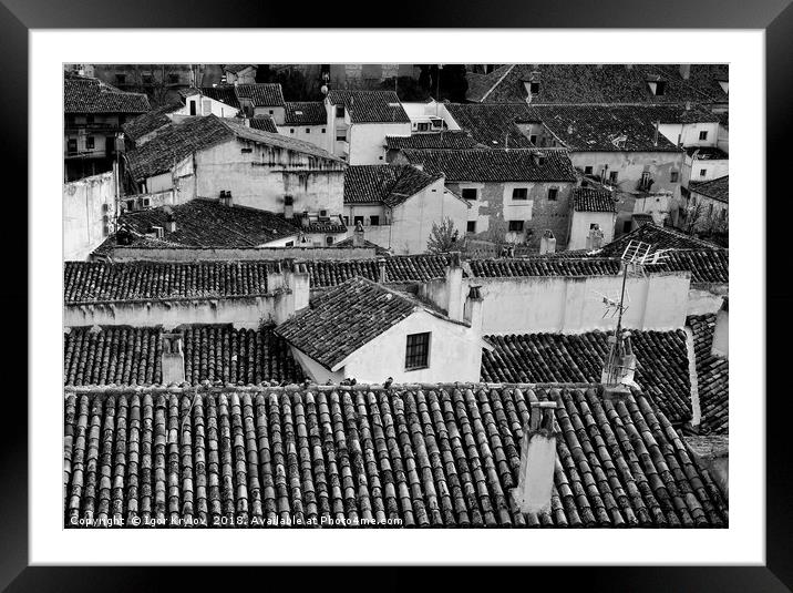 Tile roof of old town Framed Mounted Print by Igor Krylov