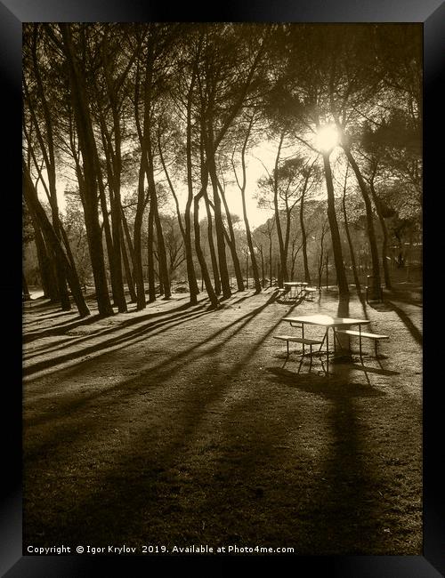 Sunset in old park Framed Print by Igor Krylov
