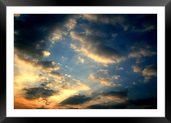 Golden Sky Framed Mounted Print by Jessica Poole