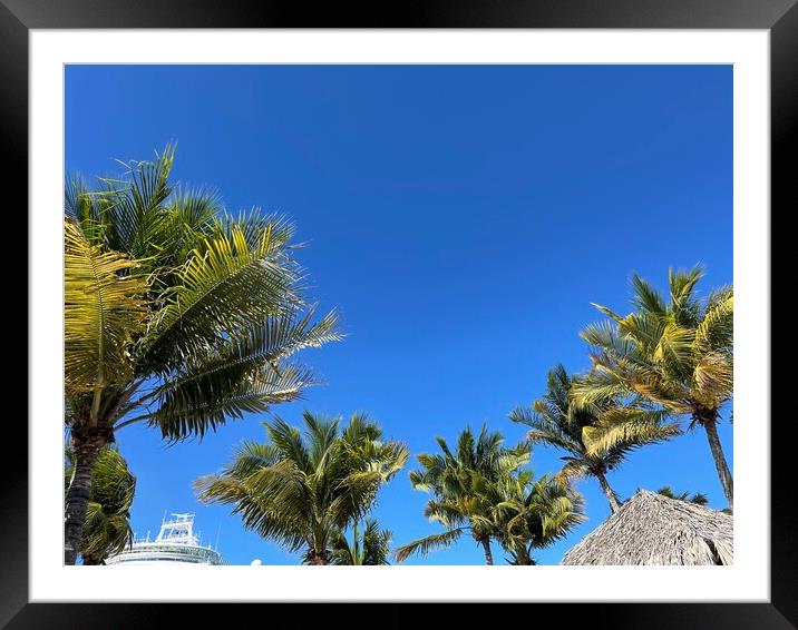 Palm trees In the blue sky Framed Mounted Print by Harvey Watson