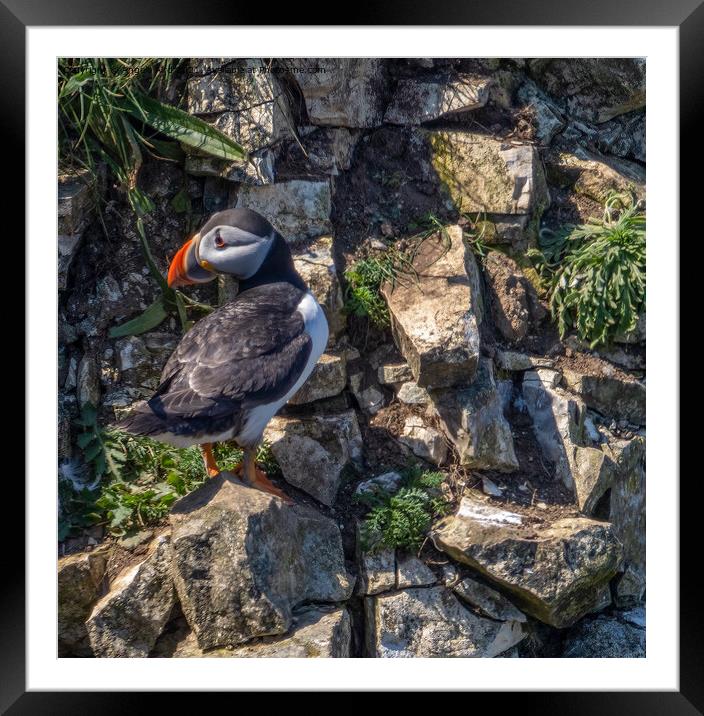 Outdoor stonerock Framed Mounted Print by Angela Aird