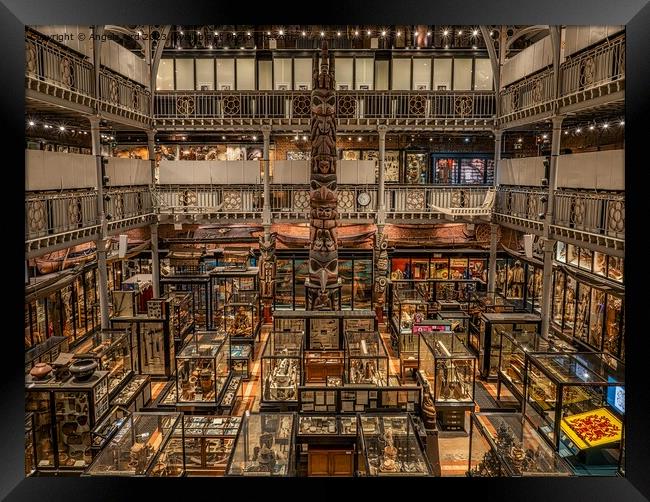 Pitt Rivers Museum. Framed Print by Angela Aird