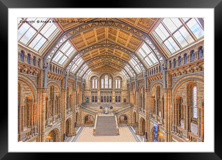Natural History Museum Framed Mounted Print by Angela Aird