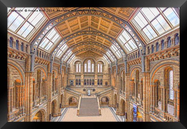Natural History Museum Framed Print by Angela Aird