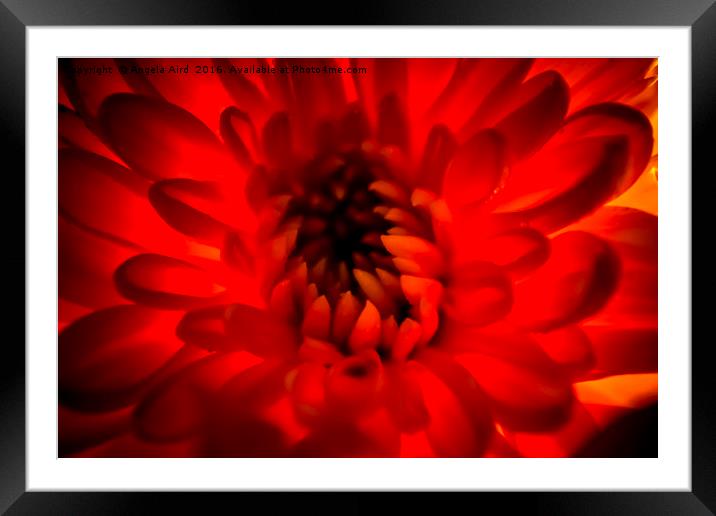 Red. Framed Mounted Print by Angela Aird