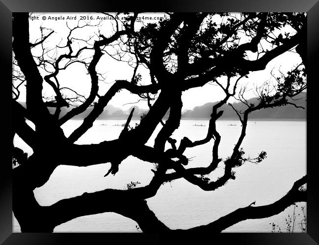 Tree Silhouette Framed Print by Angela Aird