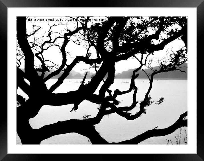 Tree Silhouette Framed Mounted Print by Angela Aird