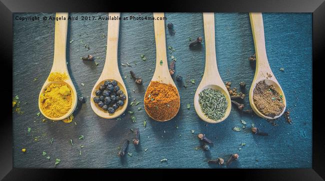 Mixed Spices. Framed Print by Angela Aird