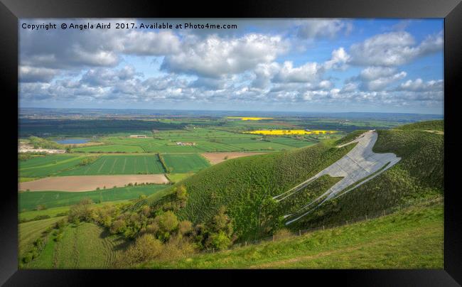 Farmlands. Framed Print by Angela Aird