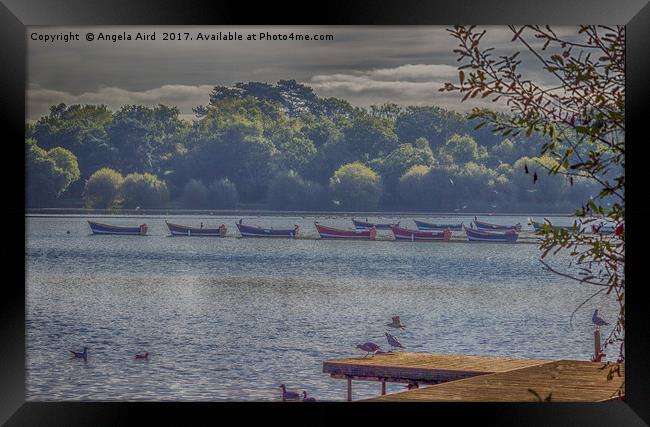 Petersfield Lake. Framed Print by Angela Aird