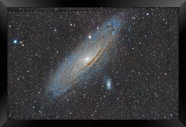 Andromeda Galaxy. Framed Print by Angela Aird