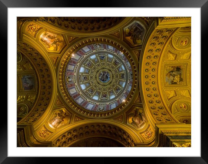 Domed. Framed Mounted Print by Angela Aird