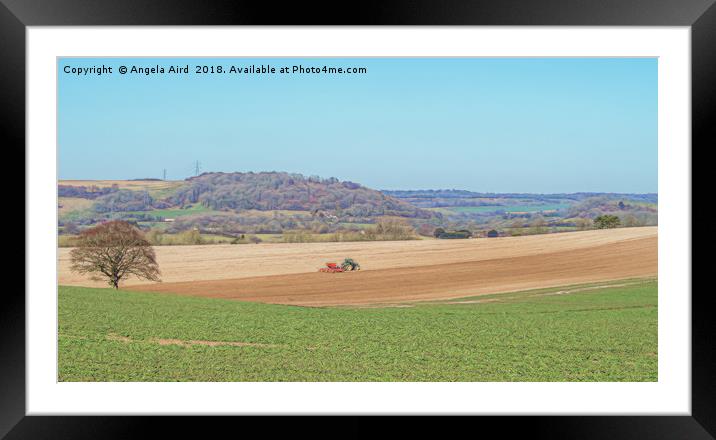 Working the Fields.  Framed Mounted Print by Angela Aird