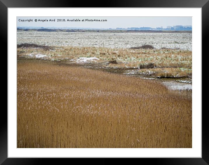 The Marshes. Framed Mounted Print by Angela Aird