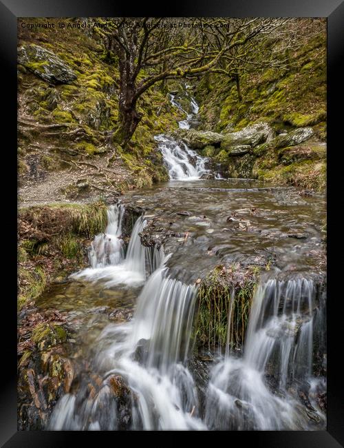 Tranquil. Framed Print by Angela Aird