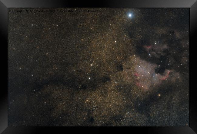 North American Nebula. Framed Print by Angela Aird