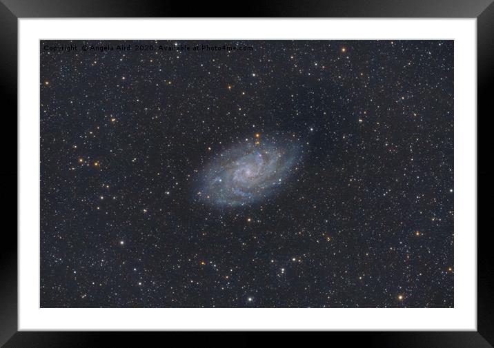 Triangulum Galaxy. Framed Mounted Print by Angela Aird
