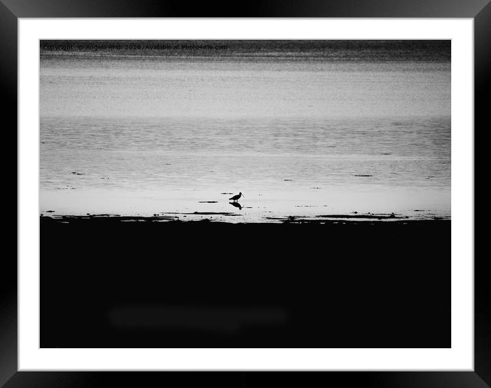 Alone. Framed Mounted Print by Angela Aird