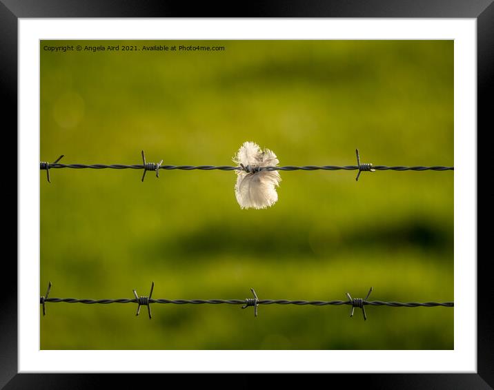 In The Breeze. Framed Mounted Print by Angela Aird