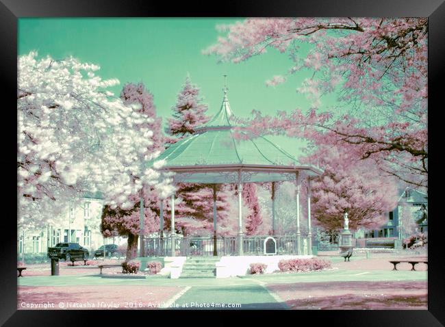 Burngreen Park, Infrared Framed Print by Natasha Naylor