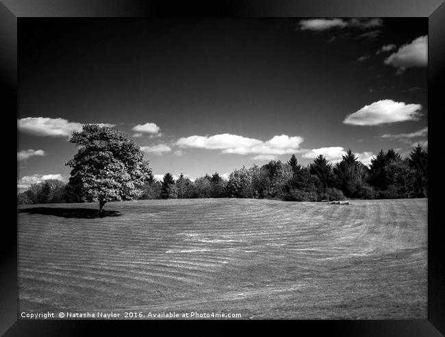 Cumbernauld Park, Infrared Framed Print by Natasha Naylor