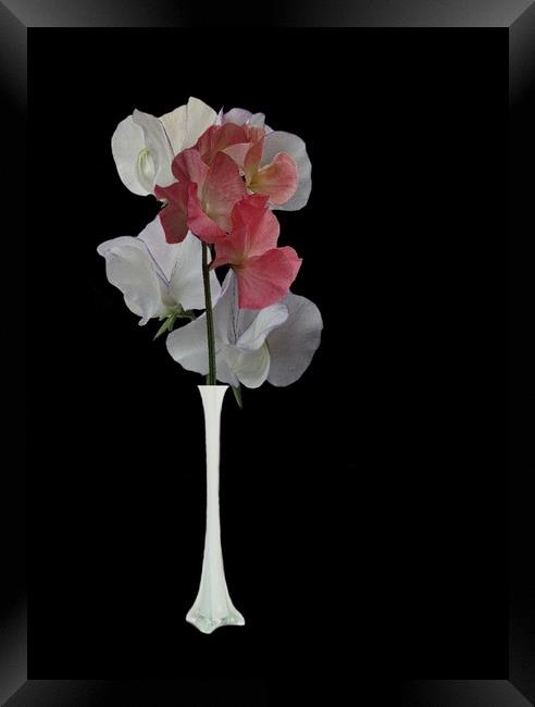Vase of flowers Framed Print by Henry Horton