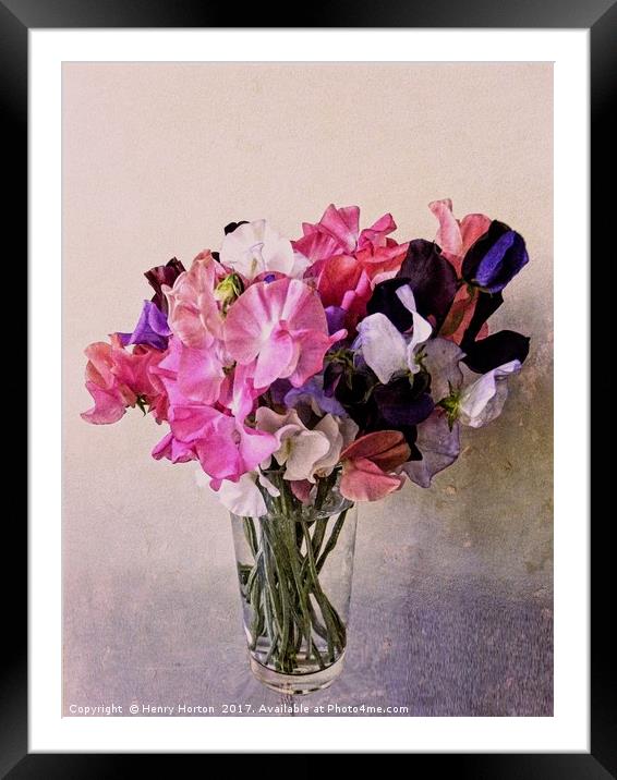 Sweet peas.  Framed Mounted Print by Henry Horton