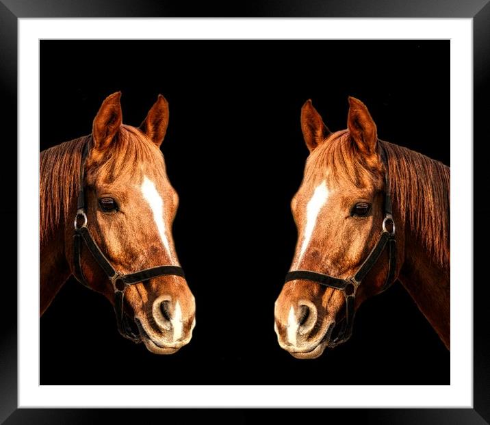 Just the two of us Framed Mounted Print by Henry Horton
