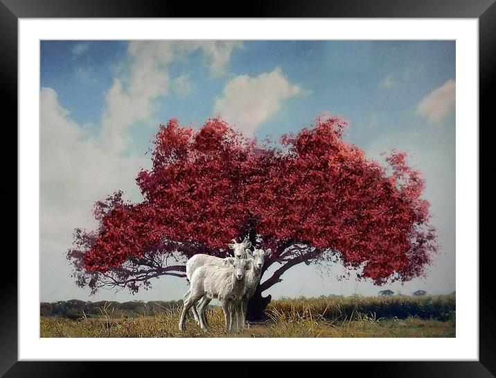 "The Tree Musketeers" Framed Mounted Print by Henry Horton