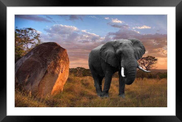 Serengeti Sundown Framed Mounted Print by Henry Horton