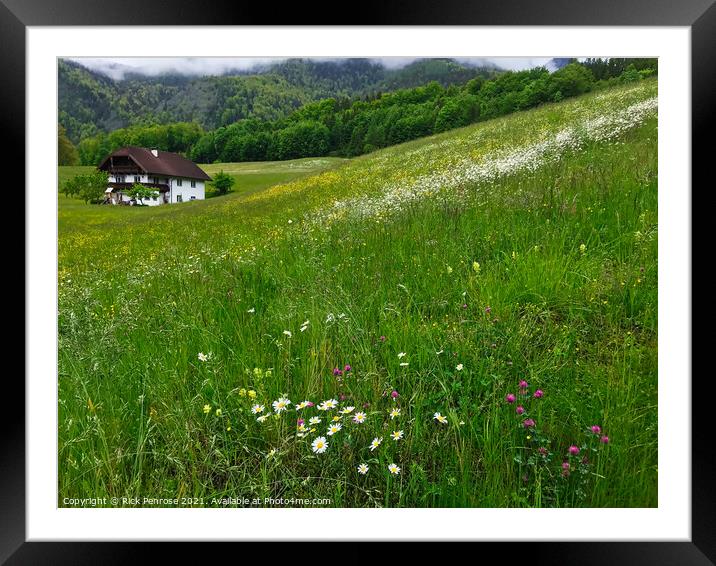 Field Of Dreams Framed Mounted Print by Rick Penrose