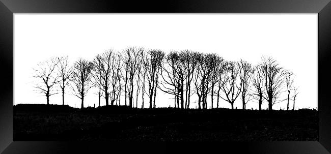 Silhouetted Trees Framed Print by Scott Middleton