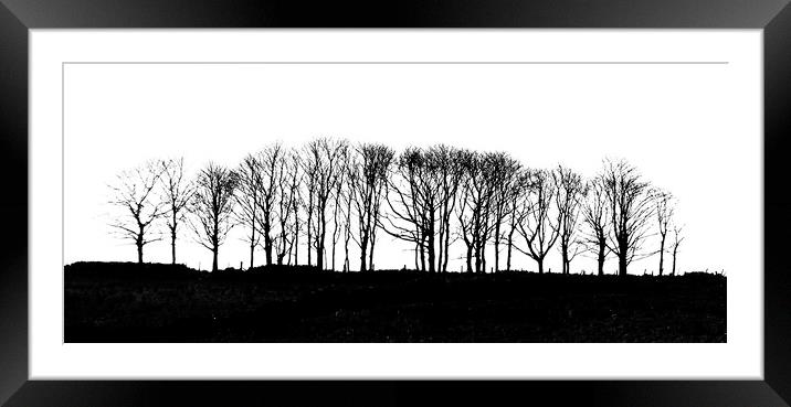 Silhouetted Trees Framed Mounted Print by Scott Middleton