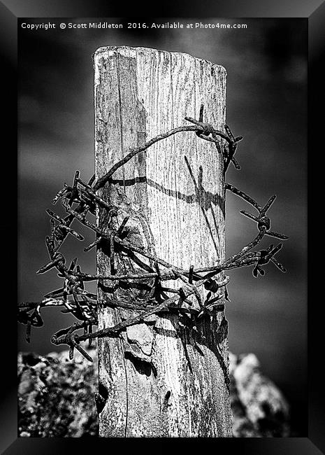 Wood and wire Framed Print by Scott Middleton