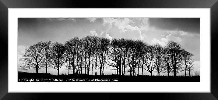 Trees on the skyline Framed Mounted Print by Scott Middleton