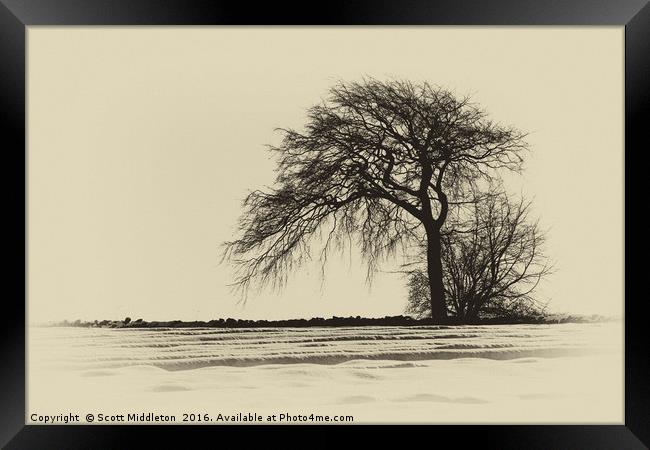 Winter Landscape Framed Print by Scott Middleton