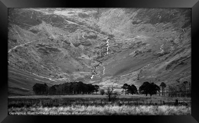 Buttermere Trees Framed Print by Scott Middleton