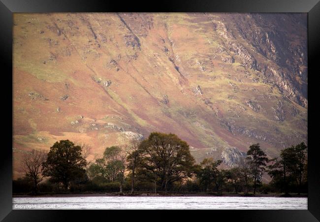 Butternmere fells with trees Framed Print by Scott Middleton