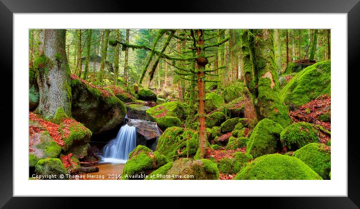 Black Forest waterfall Framed Mounted Print by Thomas Herzog