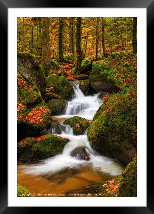 A waterfall in a forest Framed Mounted Print by Thomas Herzog