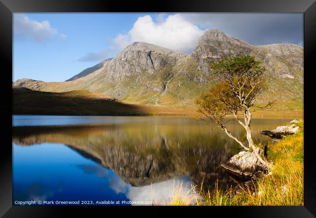 Solitary Tree by Scottish Loch Framed Print by Mark Greenwood