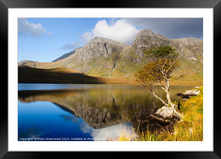 Solitary Tree by Scottish Loch Framed Mounted Print by Mark Greenwood