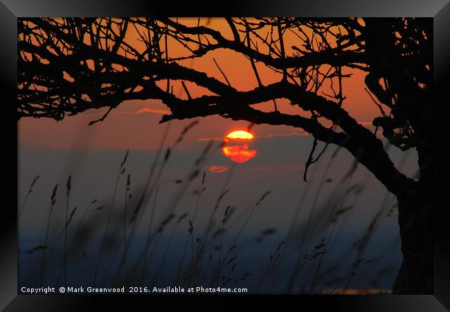 Tranquil Sunset Silhouette Framed Print by Mark Greenwood