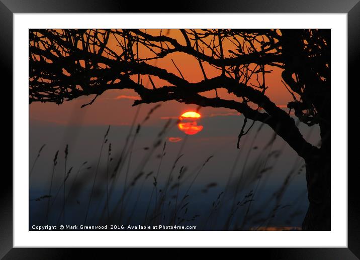 Tranquil Sunset Silhouette Framed Mounted Print by Mark Greenwood