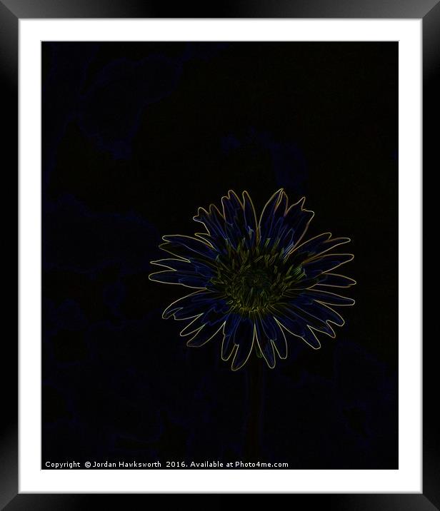 Glowing Dandelion  Framed Mounted Print by Jordan Hawksworth