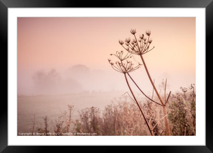 Foggy dawn in the Fens Framed Mounted Print by Bruce Little